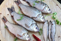 鲫鱼,四类人要少吃