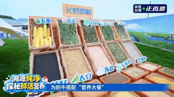 (飞鹤为奶牛精心搭配粗饲料、优质蛋白、微量元素等营养大餐)