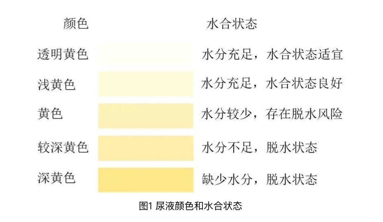 图片来源：中国居民膳食指南2022